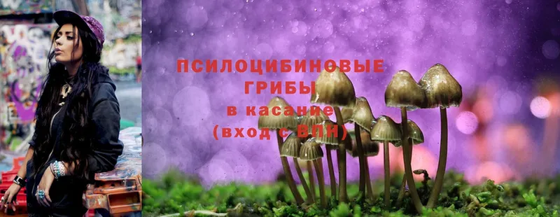 Псилоцибиновые грибы MAGIC MUSHROOMS  Малгобек 